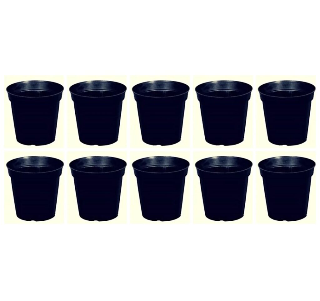 8 inch (20cm) Round Plastic Pot (Black) (set of 5) Fernbasket